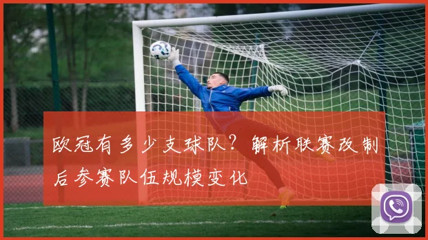 欧冠有多少支球队？解析联赛改制后参赛队伍规模变化