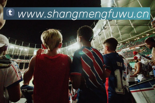 欧宝官方网站入口平台生态图